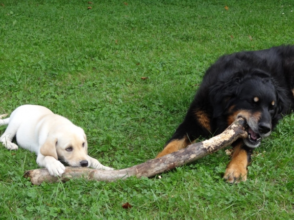 Ayla und Mika