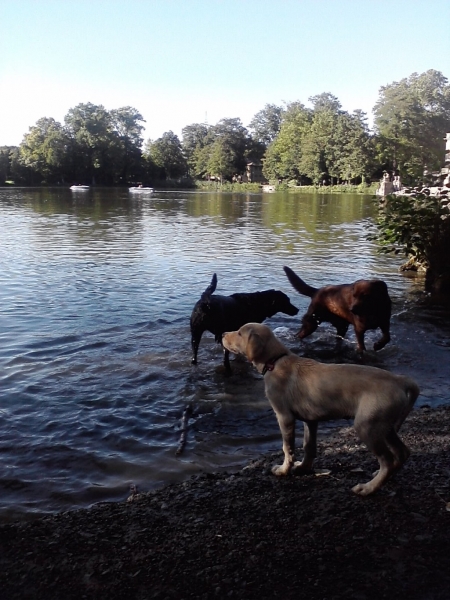 Schwimmen lernen_2